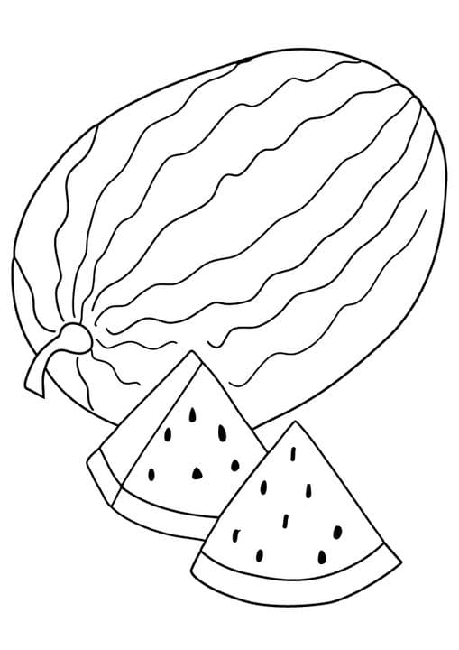 Watermelon Slices