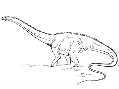 Diplodocus 