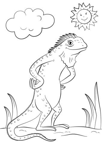 Cartoon Iguana 