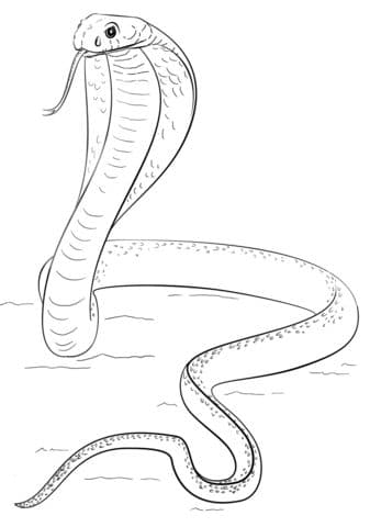 king cobra coloring page