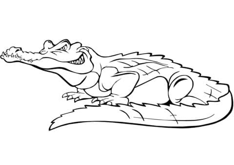 Crocodile 2