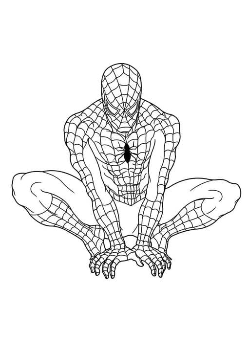 Spider Man