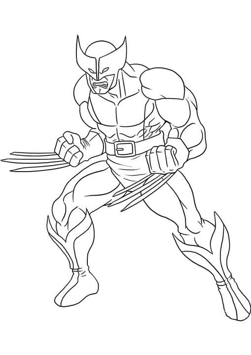 Wolverine