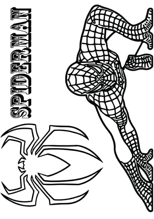 Crouching Spiderman