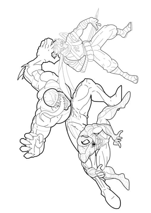 Spiderman vs Venom