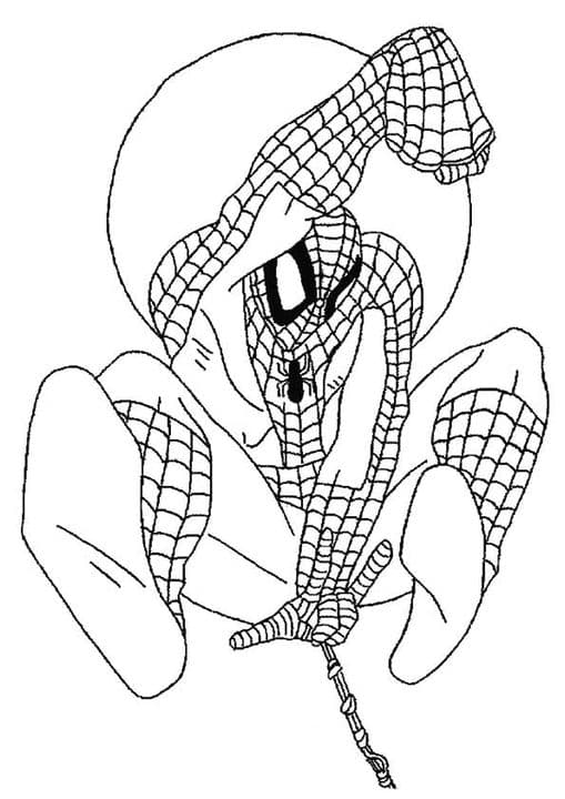 Spiderman Poster