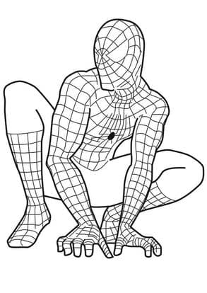 Spiderman Ready 2