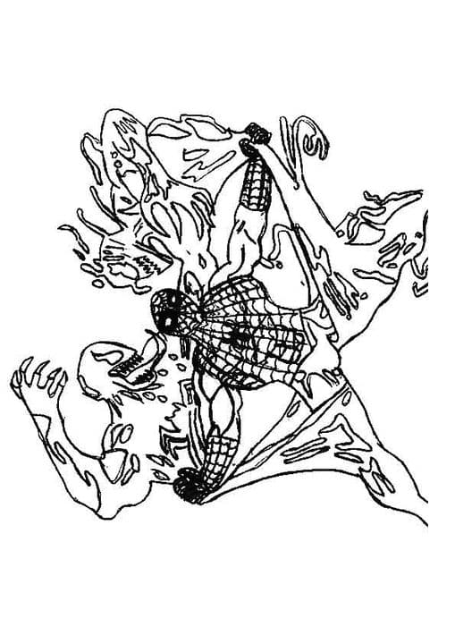 Spiderman Survivor 2