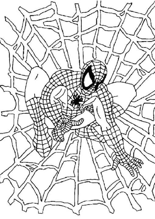 Spiderman Web