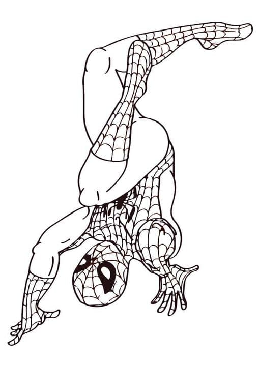 Spiderman 4