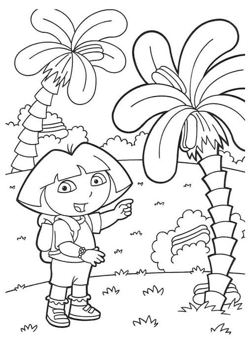 Palm Tress