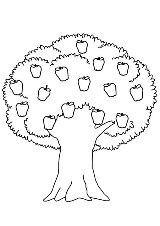 Apple Tree