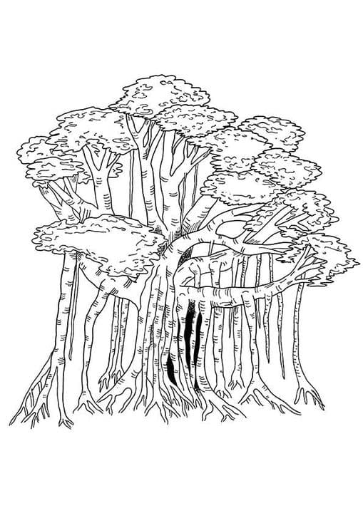 Banyan Tree