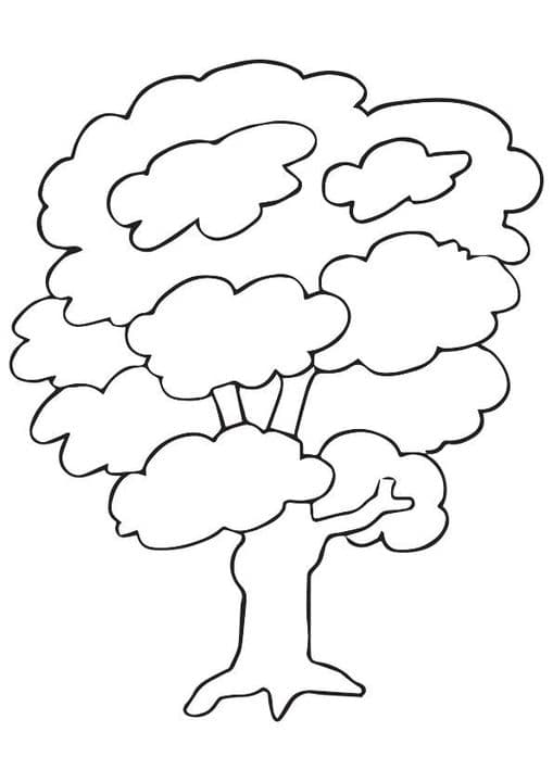 Kapok Tree