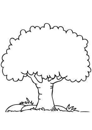 Simple Tree