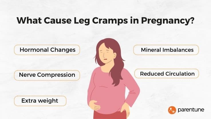 What is the Main Cause of Leg Cramps in Pregnancy? 
