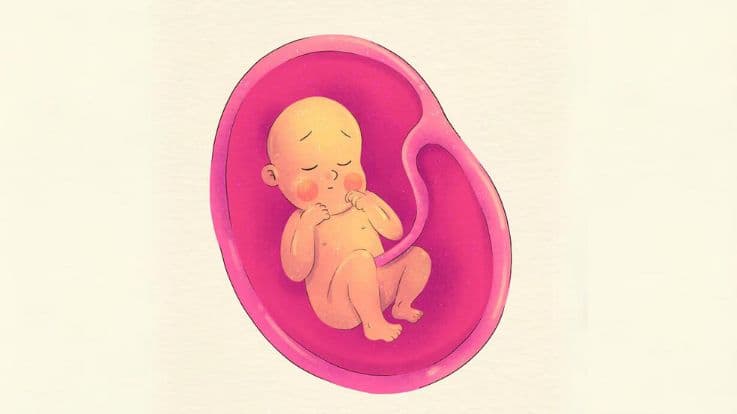 IVF 