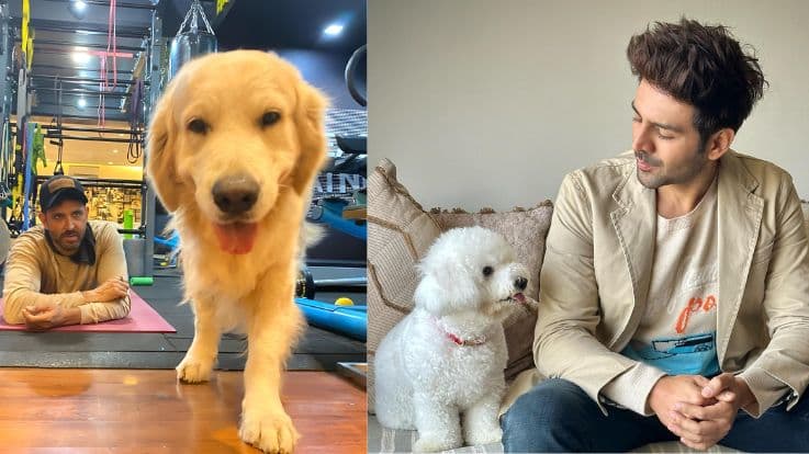 Celebs with pets