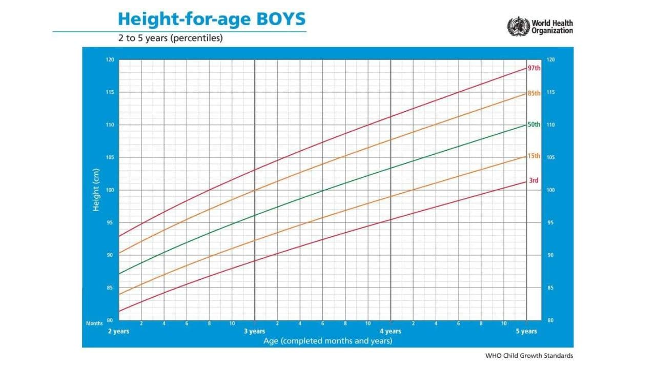 WHO Boys Growth Chart