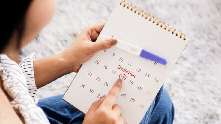 Best Time Of The Month To Try For A Baby — Find Your Fertility Window
