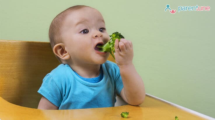 10 Finger foods for 7-month-old with no teeth