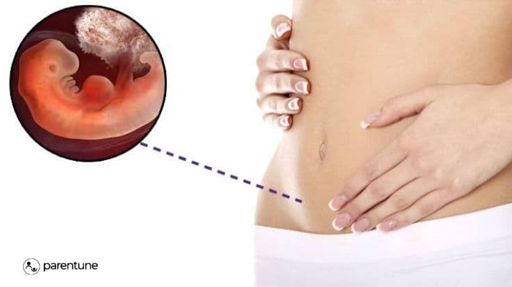 4 weeks pregnant? Baby development milestones, symptoms, tips, & more