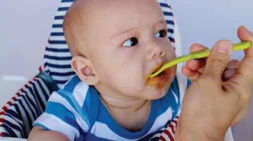 6 Month Old Baby Food Charts (With Recipes)