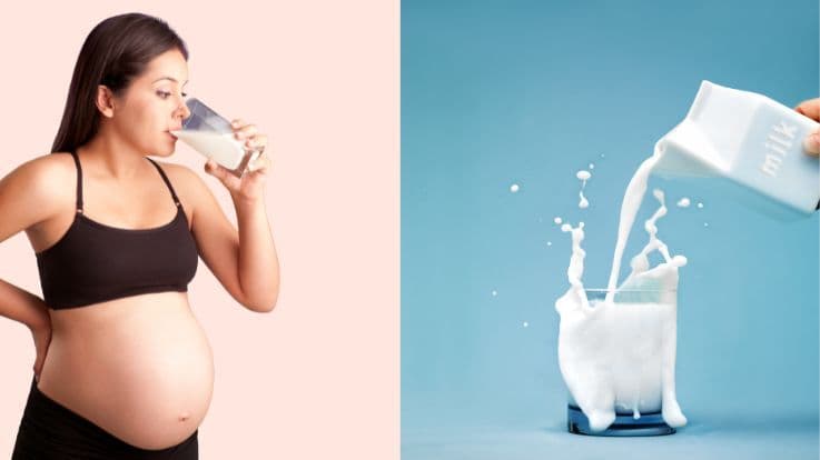 Cow Milk Vs Buffalo Milk: Which Is Better In Pregnancy