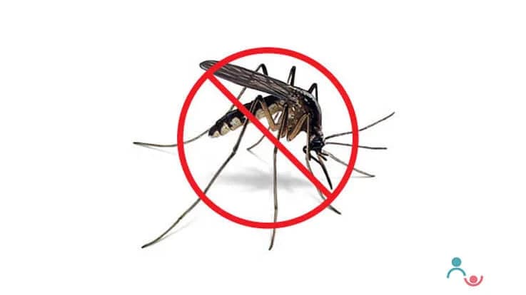 Dengue Fever Symptoms, Diagnosis, Precautions for Your Children