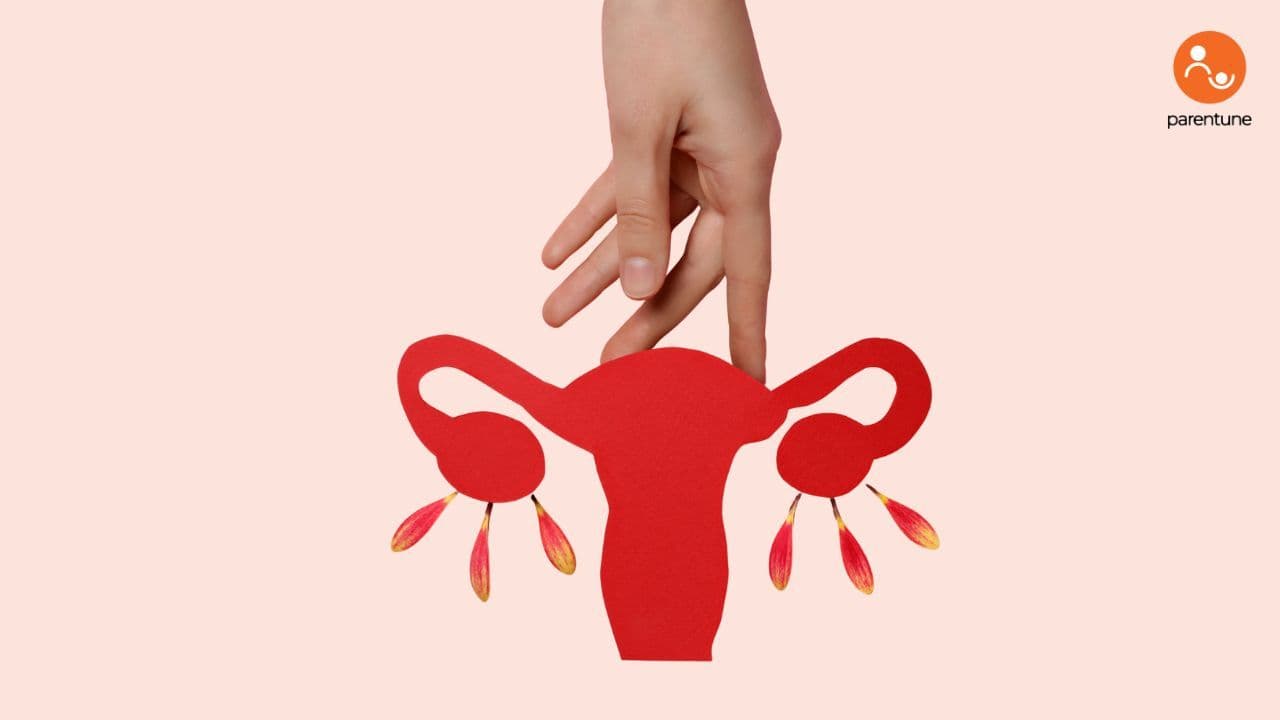 Ovulation 101: How To Know When You're Most Fertile