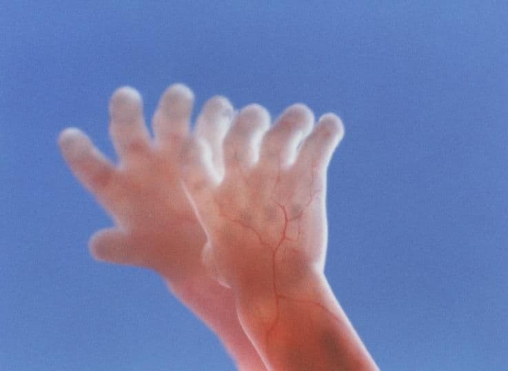 22 weeks and 2 days pregnant