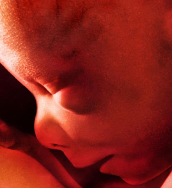 Ultrasound image at pregnancy week 28