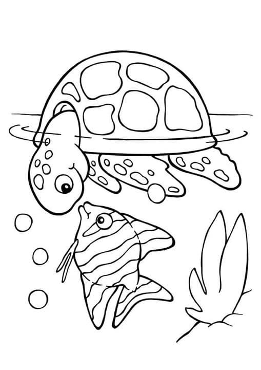 Koi Fish with Turtle