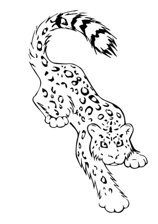 Snow Leopard Tatoo