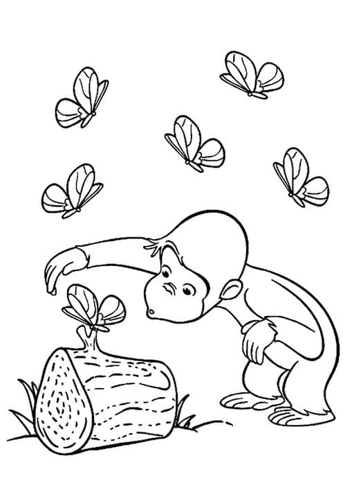 Curious George & Butterfly