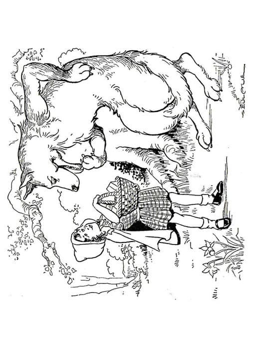 The Wolf And Red Riding Hood In The Forest