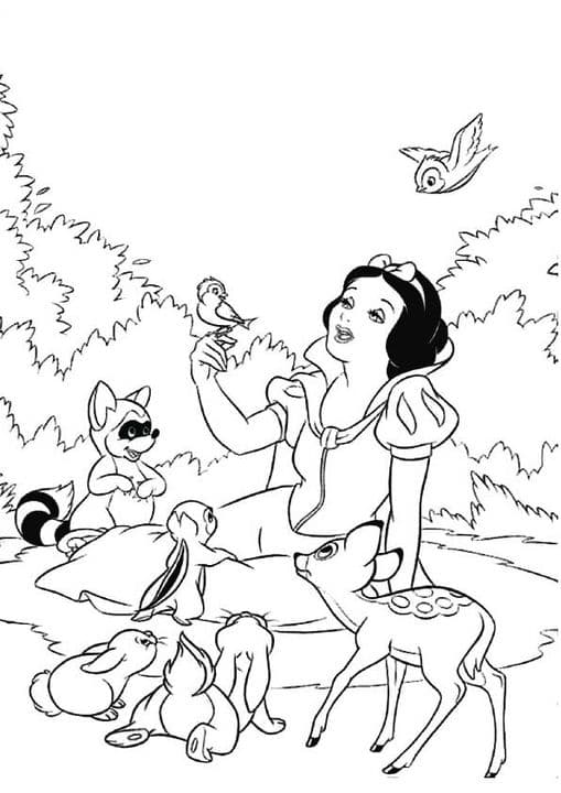 Snow white & Animals
