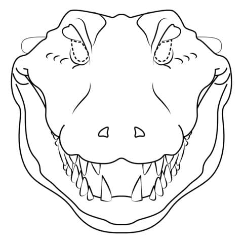 Crocodile Mask