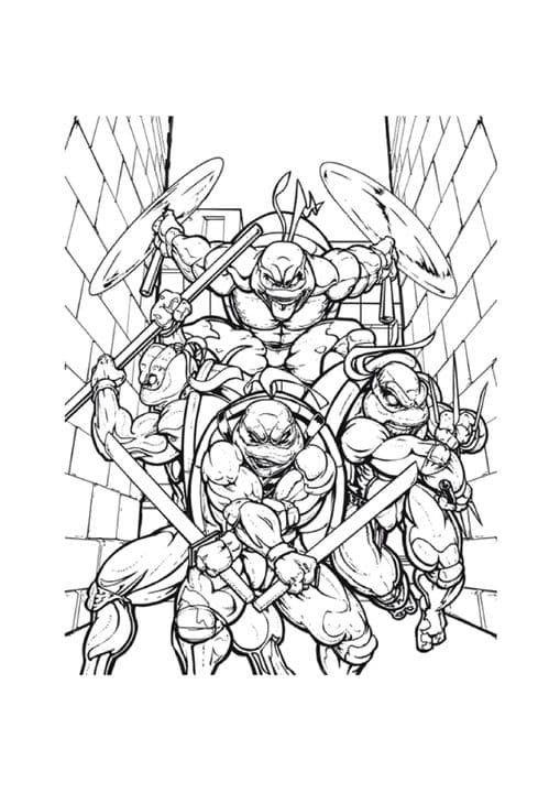 Battle Ready Ninja Turtes