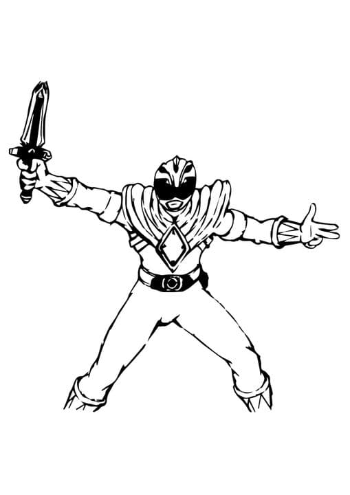 Adventurous Power Ranger